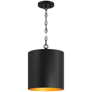Knox Outdoor (Damp) Pendant by Access