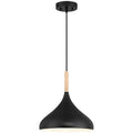 Olivia Outdoor (Damp) Pendant by Access