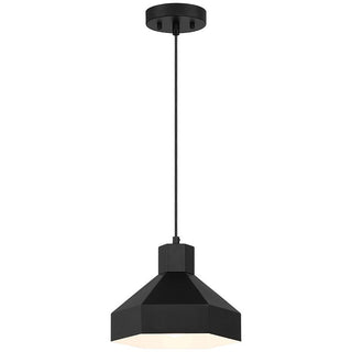 Poly Outdoor (Damp) Pendant by Access