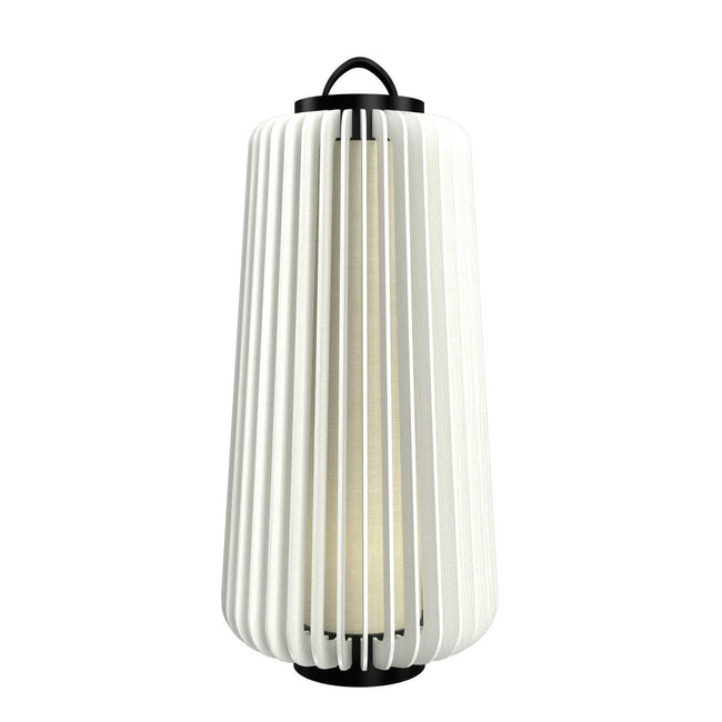 Accord Lighting-3036.47|MAIN