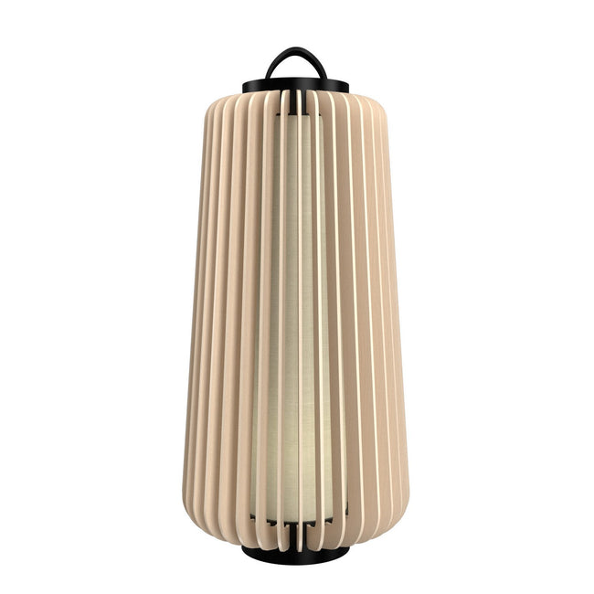 Accord Lighting-3038.48|MAIN