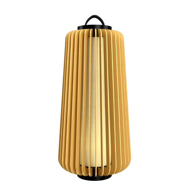Accord Lighting-3038.49|MAIN