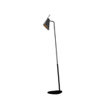 Accord Lighting-3041.50|MAIN