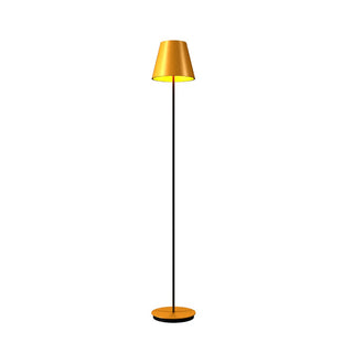 Buy organic-gold-and-woven-natural-shade Conical Outdoor (Damp) Floor Lamp by Accord Lighting
