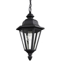 Brentwood Outdoor (Damp) Hanging Lanterns by Generation Lighting