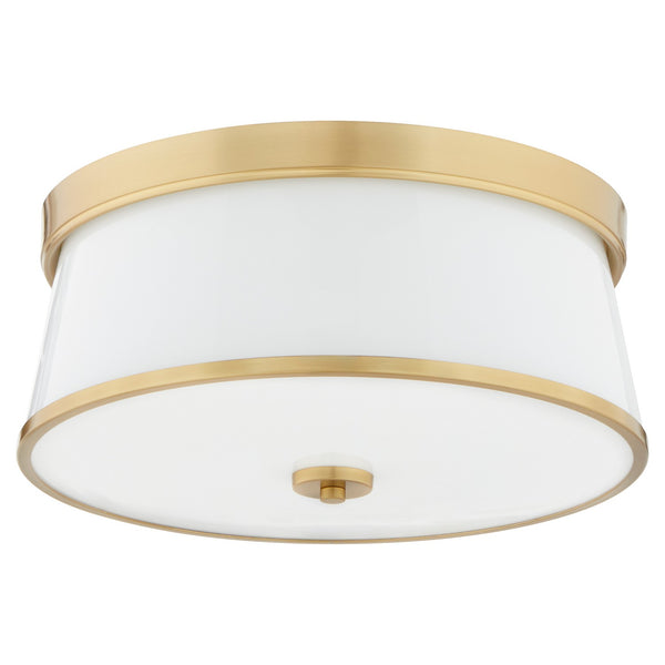 Weir Outdoor (Damp) Ceiling Light by Quorum
