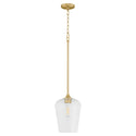 Raymond Outdoor (Damp) Pendant by Quorum