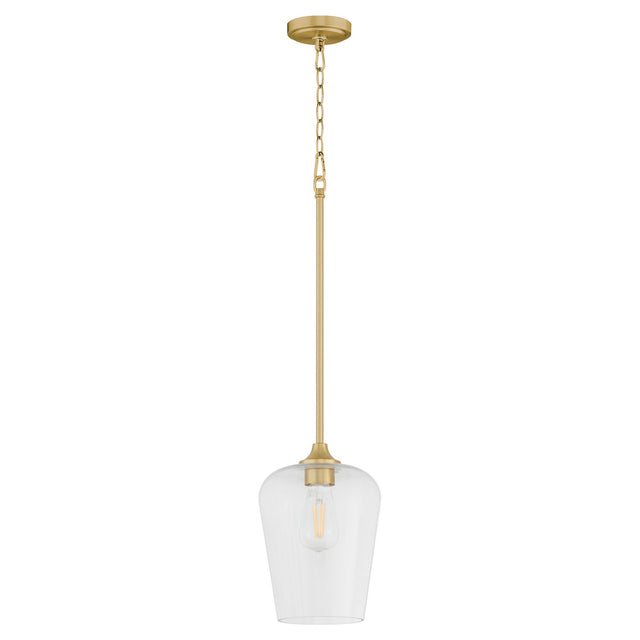 Raymond Outdoor (Damp) Pendant by Quorum