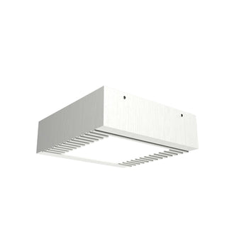 Buy organic-white Slatted Ceiling Mount by Accord Lighting