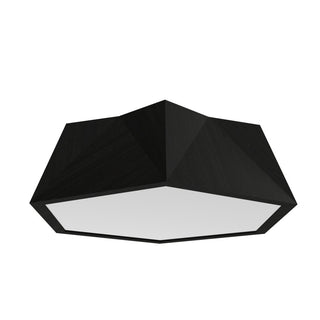 Buy organic-black-and-black-shade Physalis Outdoor (Damp) Ceiling Light by Accord Lighting