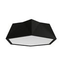 Physalis Outdoor (Damp) Ceiling Mount Light by Accord Lighting