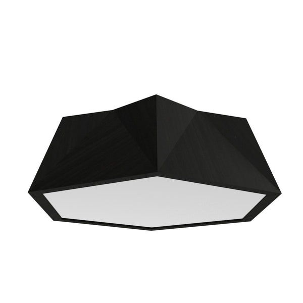 Physalis Outdoor (Damp) Ceiling Mount Light by Accord Lighting