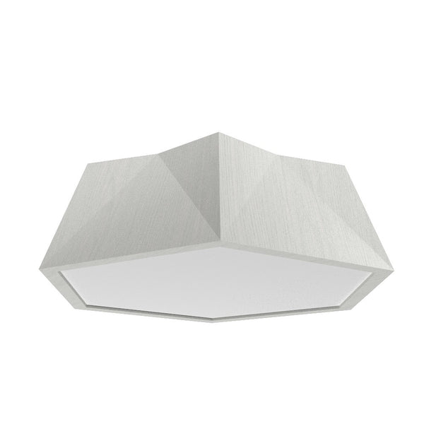Physalis Outdoor (Damp) Ceiling Mount Light by Accord Lighting