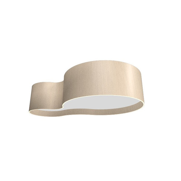 Organic Outdoor (Damp) Ceiling Mount Light by Accord Lighting