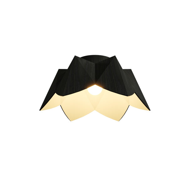 Physalis Outdoor (Damp) Ceiling Mount Light by Accord Lighting