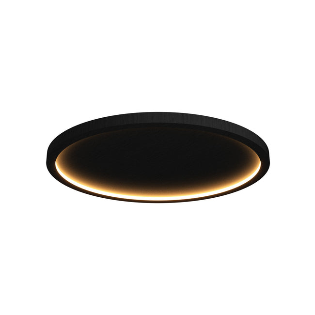 Accord Lighting-5095LED.50|MAIN
