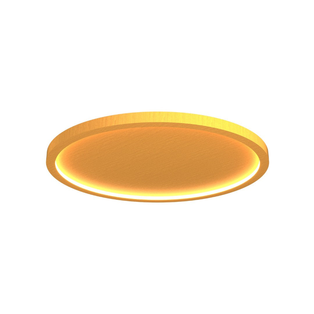 Accord Lighting-5097LED.49|MAIN