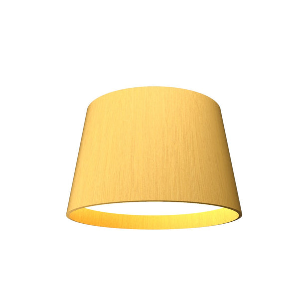 Conical Ceiling Mount by Accord Lighting
