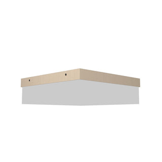 Buy organic-cappuccino Clean Ceiling Mount by Accord Lighting