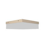 Accord Lighting-577LED.48|MAIN