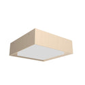 Squares Outdoor (Damp) Ceiling Mount Light by Accord Lighting