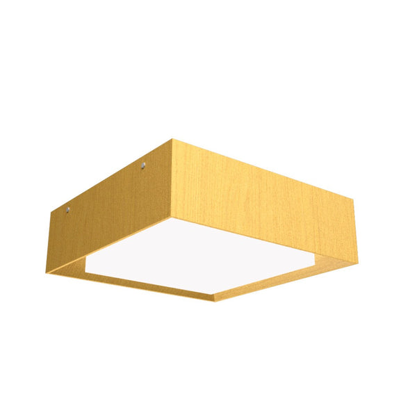 Squares Outdoor (Damp) Ceiling Mount Light by Accord Lighting