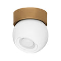 Odin Outdoor (Damp) Flush Mount Ceiling Light by Troy Lighting