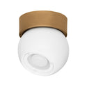 Odin Outdoor (Damp) Flush Mount Light by Troy Lighting