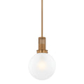 Tobias Outdoor (Damp) Pendant by Troy Lighting