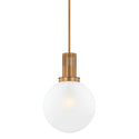 Tobias Outdoor (Damp) Pendant by Troy Lighting