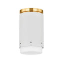 Asa Outdoor (Damp) Flush Mount Light by Mitzi