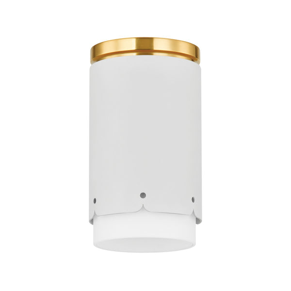 Asa Outdoor (Damp) Flush Mount Light by Mitzi
