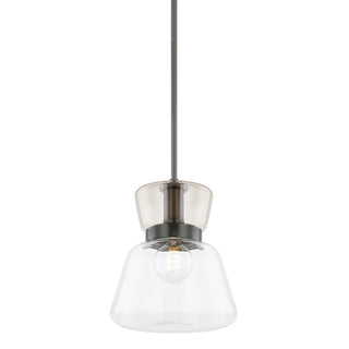 Buy true-bronze-with-clear-glass-and-clear-shade Elodie Outdoor (Damp) Pendant by Mitzi