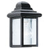Black with Clear Beveled Glass and Clear Shade