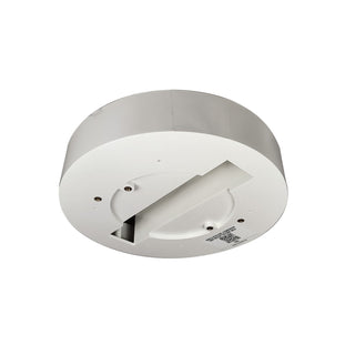 Outdoor (Damp)  Decorative Enclosure without Emergency Driver Accents by Nora Lighting