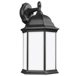 Generation Lighting-8438751EN3-12|MAIN