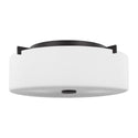 Sunset Drive Outdoor (Damp) Flush Mount Ceiling Light by Generation Lighting
