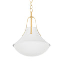 Coventry Outdoor (Damp) Pendant by Hudson Valley