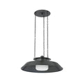 Woodrow Outdoor (Damp) Pendant by Hudson Valley