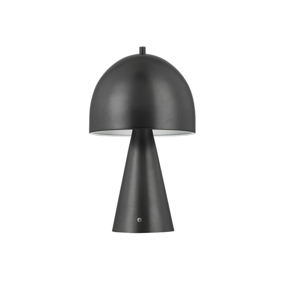 Hopkinton Outdoor (Damp) Lamp by Hudson Valley