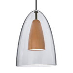 Besa-1JC-DANOCLMD-LED-BK|MAIN