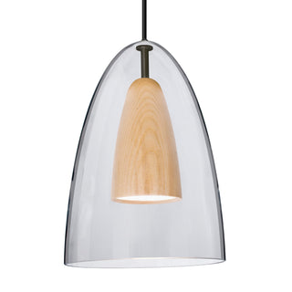 Buy black-with-clear-natural-glass-and-multicolor-shade Besa Dano Pendant Outdoor (Damp) Pendant by Besa