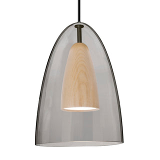 Buy black-with-smoke-natural-glass-and-multicolor-shade Besa Dano Pendant Outdoor (Damp) Pendant by Besa