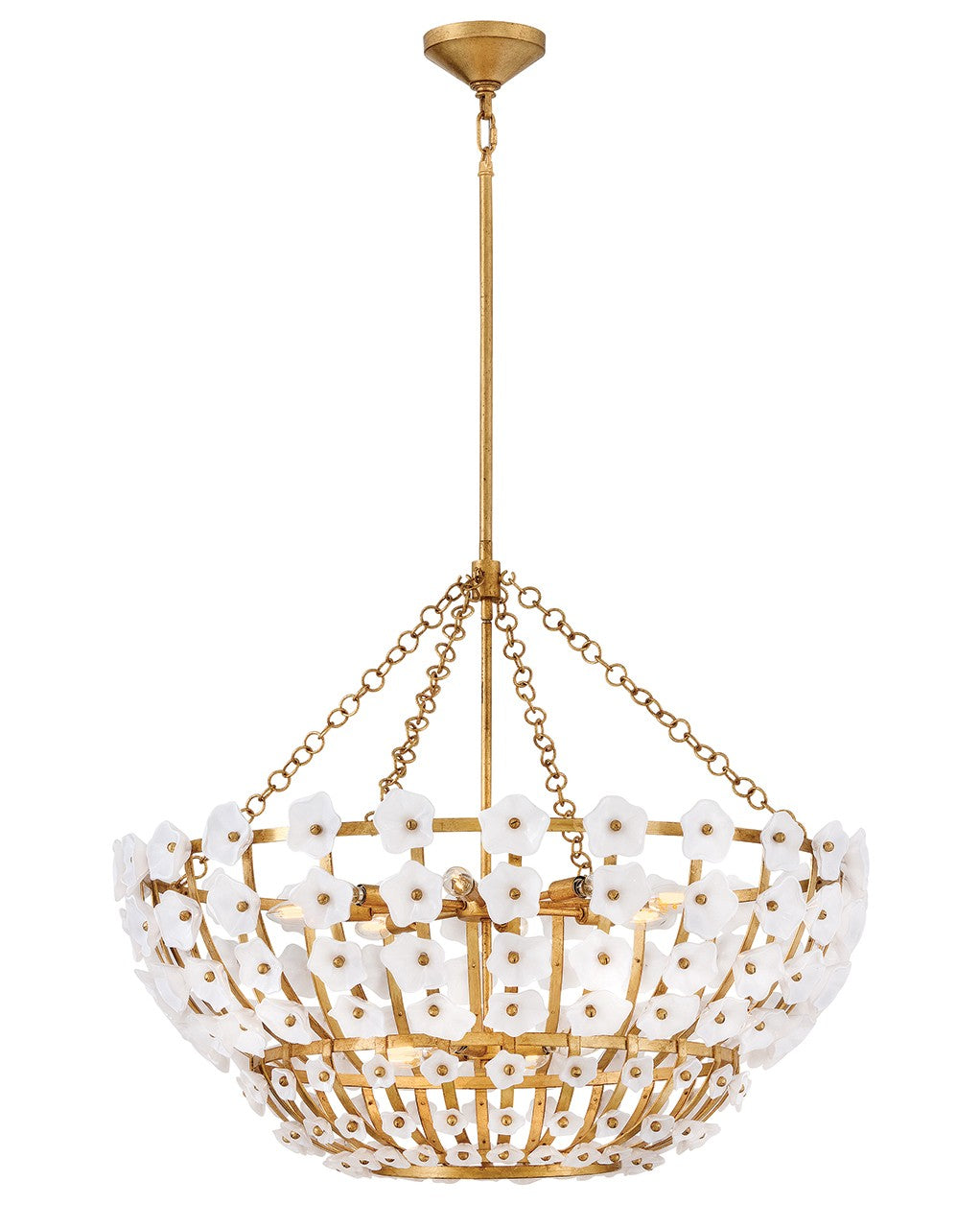 Fredrick Ramond-FR41636DA|MAIN