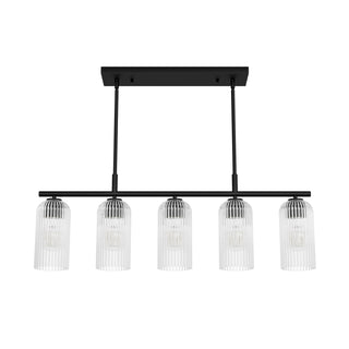 Buy matte-black-with-clear-glass-and-clear-textured-shade Beverly Glen Chandelier by Hunter