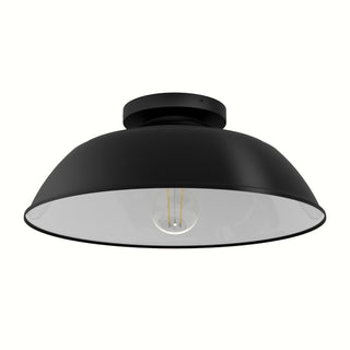 Mill Valley Flush Mount Ceiling Light by Hunter