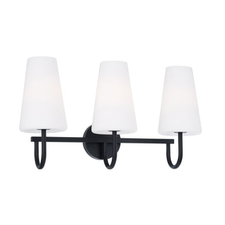 Buy matte-black Averitt Vanity by Capital Lighting