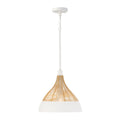 Kali Pendant by Capital Lighting