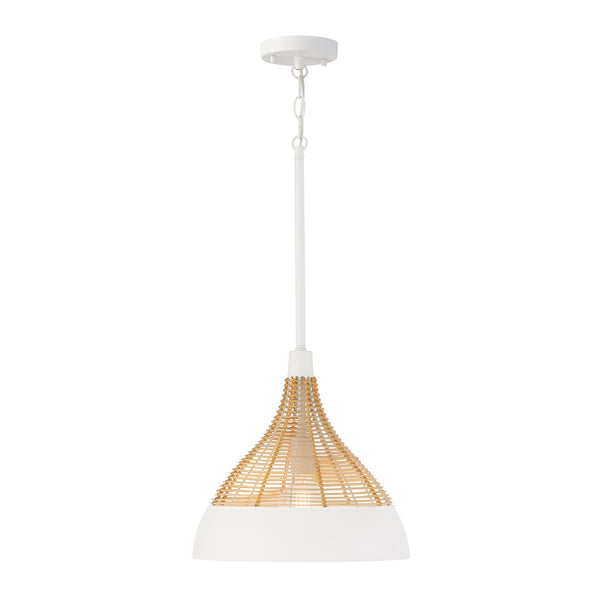 Kali Pendant by Capital Lighting