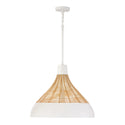 Kali Pendant by Capital Lighting